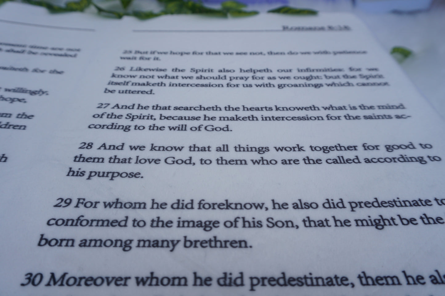 BIBLE PILLOW - Romans 8