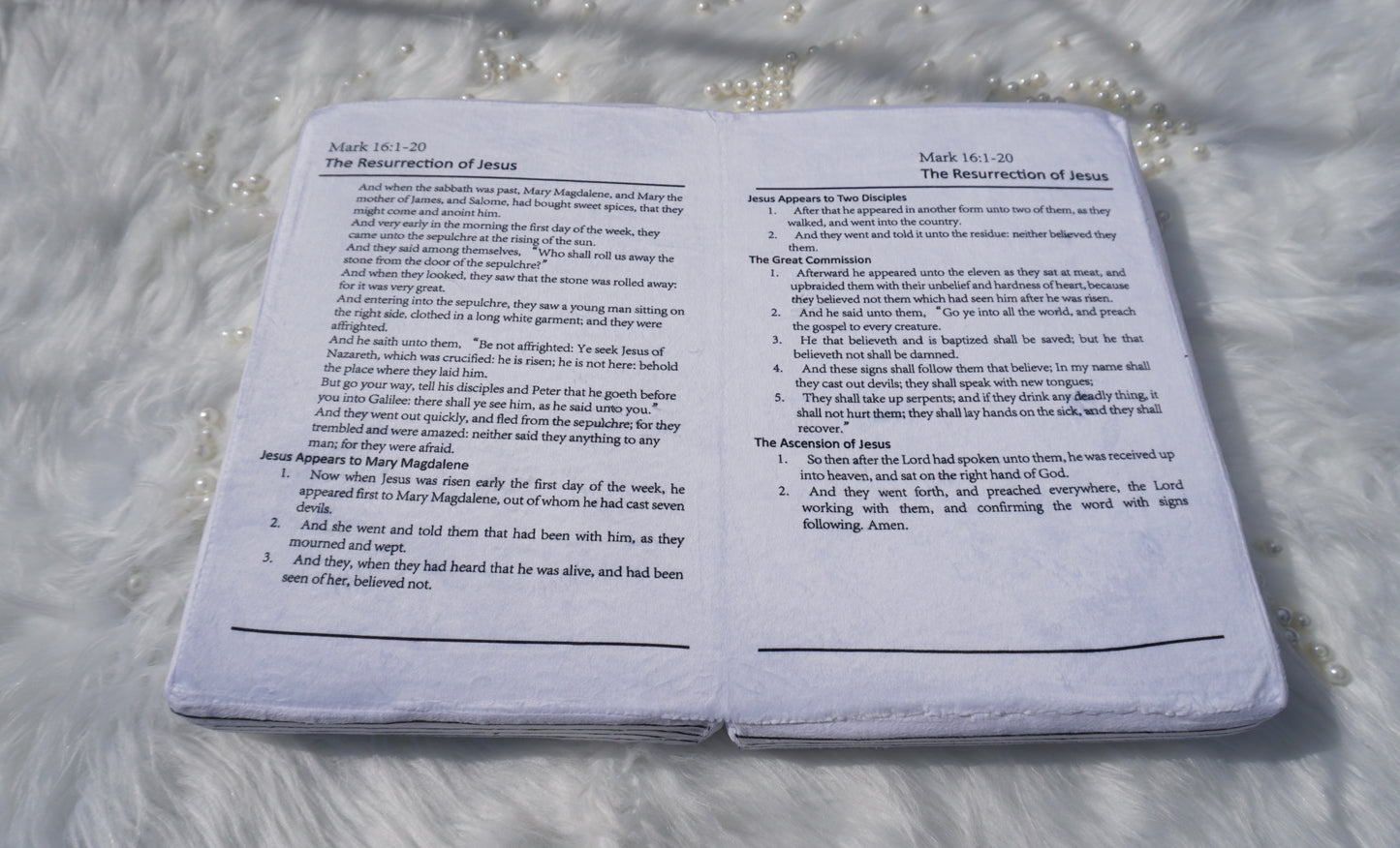 Bible pillow - Mark 16