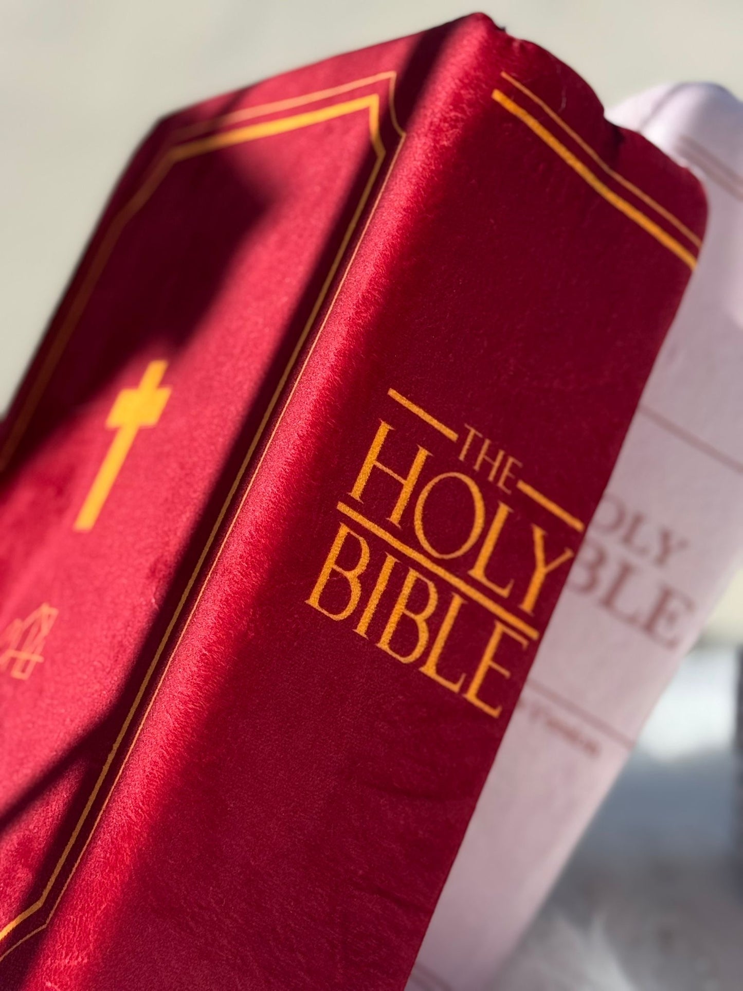 Coussin Biblique - 1 Corinthiens 13