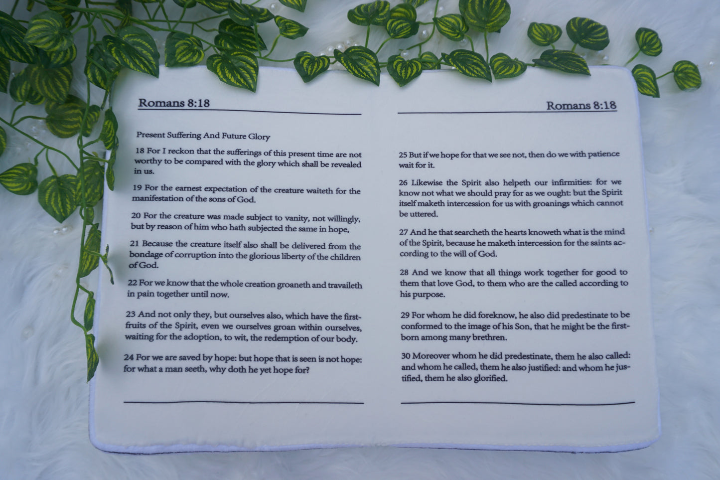 Coussin Biblique - Romains 8